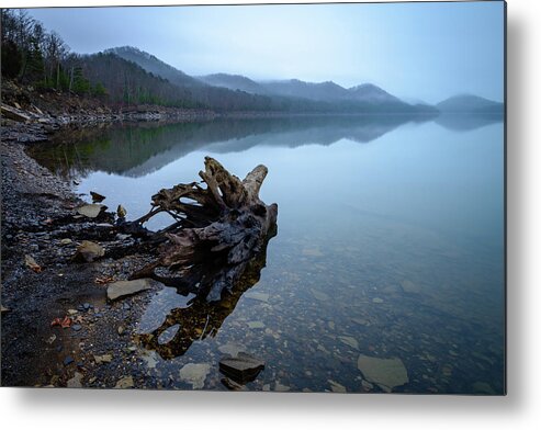 Kentucky Metal Print featuring the photograph Foggy Cove by Michael Scott