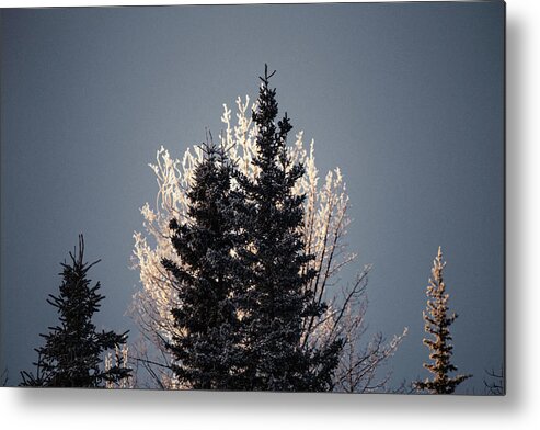 Alaska Metal Print featuring the photograph Foggy Days and Foggy Nights by Fred Denner