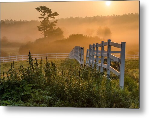 Maine Metal Print featuring the photograph Foggy Fence by Paul Noble