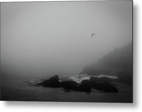 Maine Metal Print featuring the photograph Foggy Maine Coast by Barry Wills