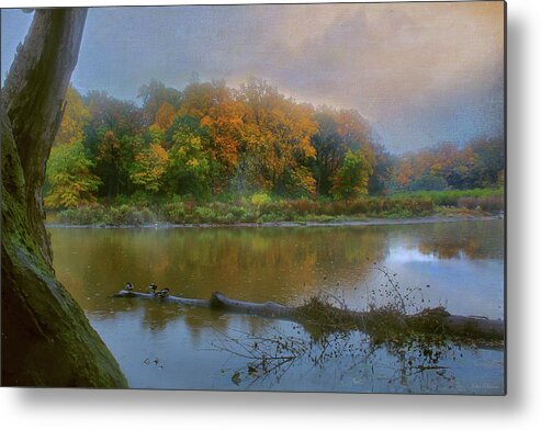 Pond Metal Print featuring the photograph Foggy Morning by John Rivera
