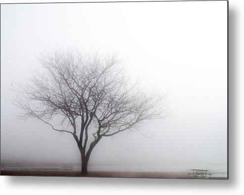 Ohio Metal Print featuring the photograph Foggy Picnic by Stewart Helberg