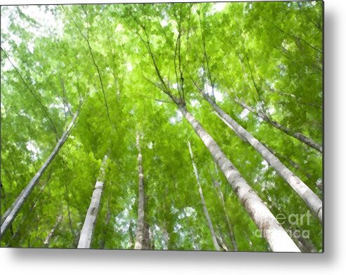 Background Metal Print featuring the photograph Forest 1 by Jean Bernard Roussilhe