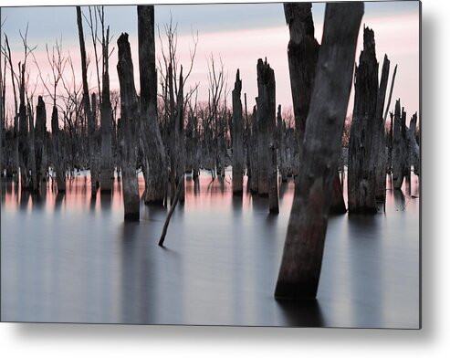 Lake Metal Print featuring the photograph Forest in the Water by Jennifer Ancker