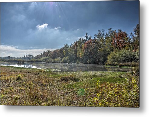 Forest Metal Print featuring the photograph Forest Lake in Autumn by Frans Blok