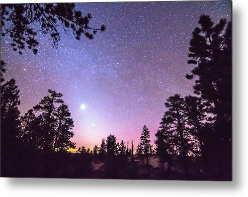 Sky Metal Print featuring the photograph Forest Night Star Delight by James BO Insogna