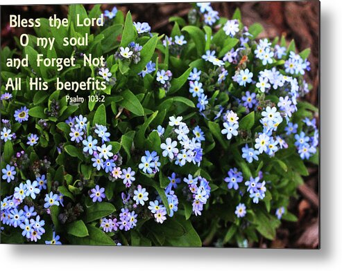 Floral Metal Print featuring the photograph Forget not All His Benefits by Trina Ansel