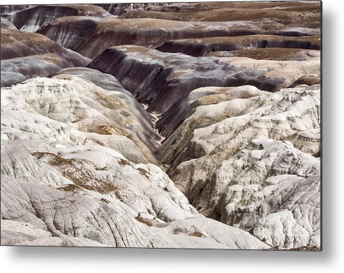 Petrified Forest Metal Print featuring the photograph Four Million Geologic Years by Melany Sarafis