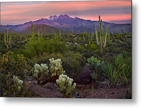 Sunset Phoenix Metal Print featuring the photograph Four Peaks Sunset by Dave Dilli