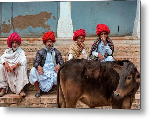 Pushkar Metal Print featuring the photograph Four Rajasthani Brothers and a Holy Cow by Jose Luis Vilchez