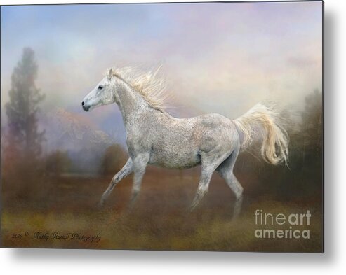 Arabian Metal Print featuring the photograph Freedom by Kathy Russell