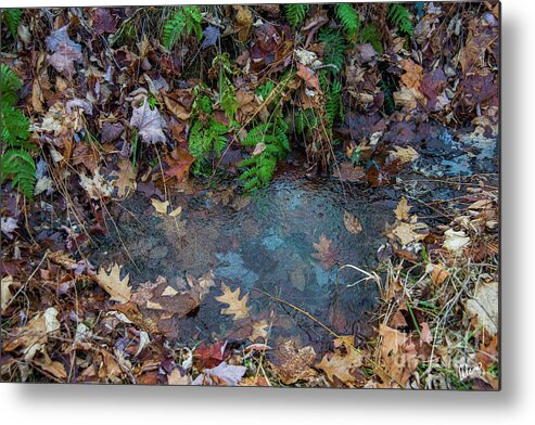 December Metal Print featuring the photograph Freezing by Alana Ranney