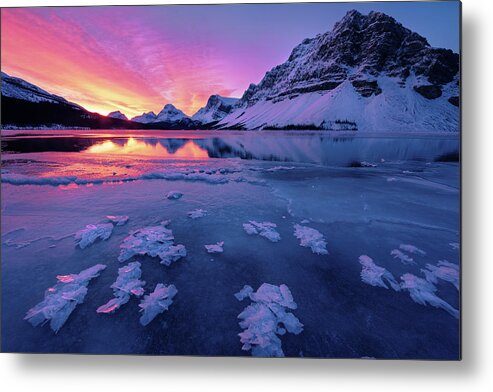 Bow Lake Metal Print featuring the photograph Fresh Ice On Bow Lake by Dan Jurak