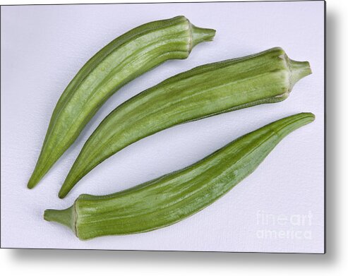 Okra Metal Print featuring the photograph Freshly Harvested Okra by Inga Spence