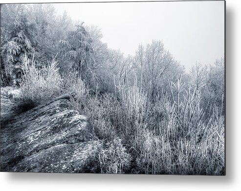 Frost Metal Print featuring the photograph Frost At The Top by Mike Eingle