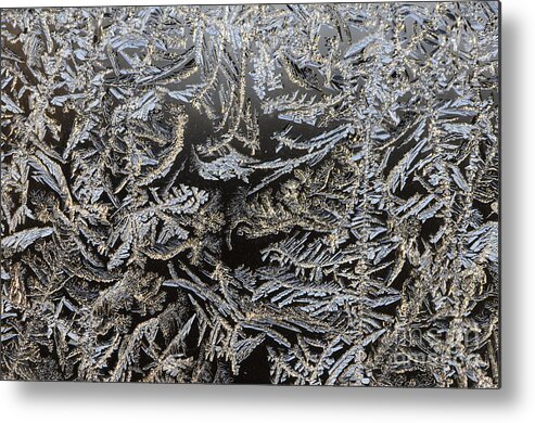 Frost Metal Print featuring the photograph Frost Patterns by Tamara Becker