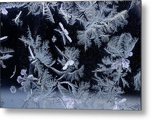 Frost Macro Metal Print featuring the photograph Frost Series 4 by Mike Eingle