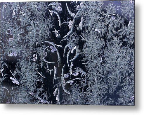 Frost Macro Metal Print featuring the photograph Frost Series 6 by Mike Eingle