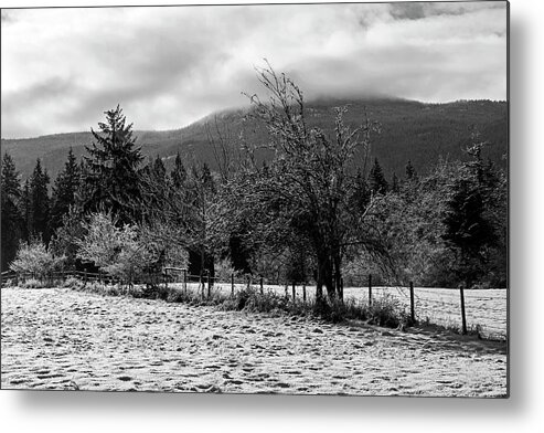 Frost Metal Print featuring the photograph Frosty Morning - 365-314 by Inge Riis McDonald