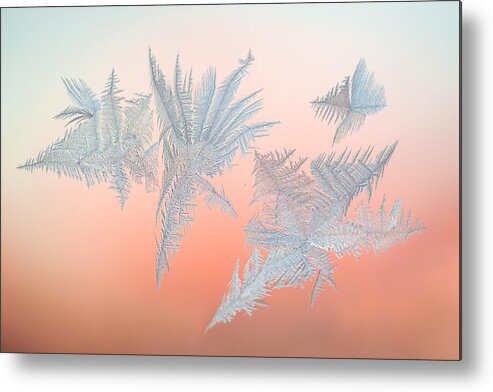 Abstract Metal Print featuring the photograph Frozen Fractals 01 by Jakub Sisak