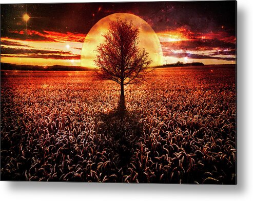 Clouds Metal Print featuring the photograph Full Moon at Sunset in Dark Tones by Debra and Dave Vanderlaan