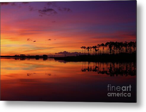 Sunset Metal Print featuring the photograph Gale Creek by Marty Fancy