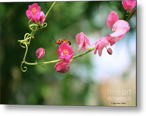 Keywords Metal Print featuring the photograph Garden Bug by Megan Dirsa-DuBois