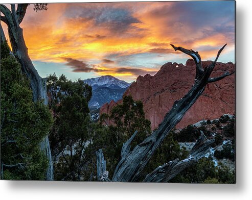 Garden Of The Gods Metal Print featuring the photograph Garden of the Gods framed in the Twisted Tree by David Soldano