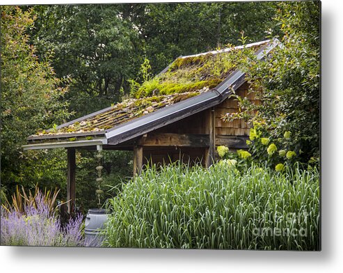 Shed Metal Print featuring the photograph Garden Shed by Allen Nice-Webb