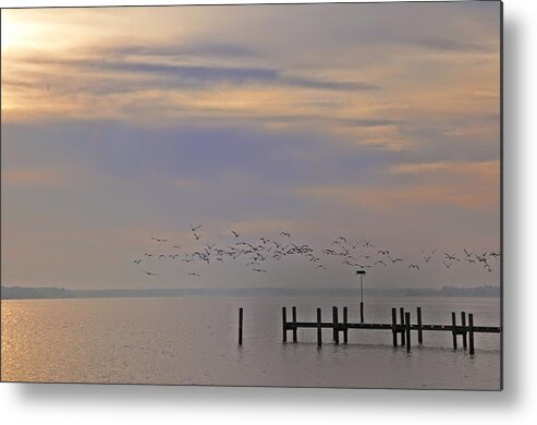 Chesapeake Metal Print featuring the photograph Geese Over the Chesapeake by Bill Cannon