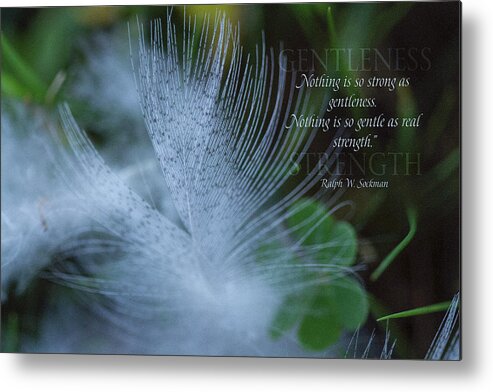 Photography Metal Print featuring the digital art Gentleness 2 by Terry Davis