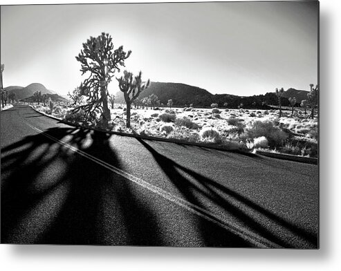 Joshua Tree Metal Print featuring the photograph Ghouls by Laurie Search