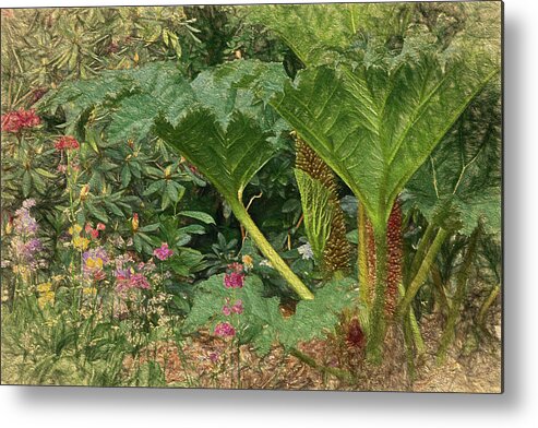 Garden Photography Metal Print featuring the painting Gigantic Leaves by Bonnie Bruno