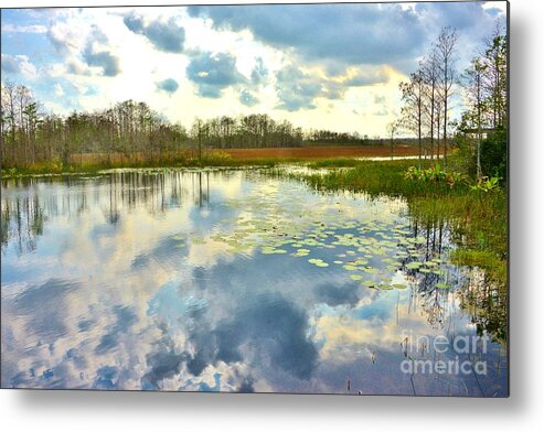 Glades Reflective Metal Print featuring the photograph Glades Reflective 2 by Lisa Renee Ludlum