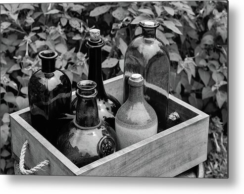 Antique Metal Print featuring the photograph Glass Bottles in the Garden by Nicole Lloyd