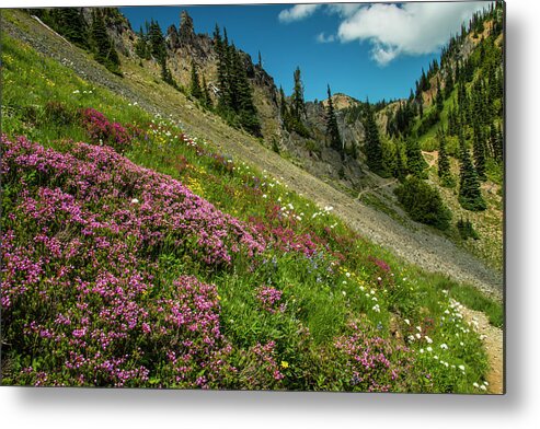 Pct Metal Print featuring the photograph Glorious Mountain Heather by Doug Scrima