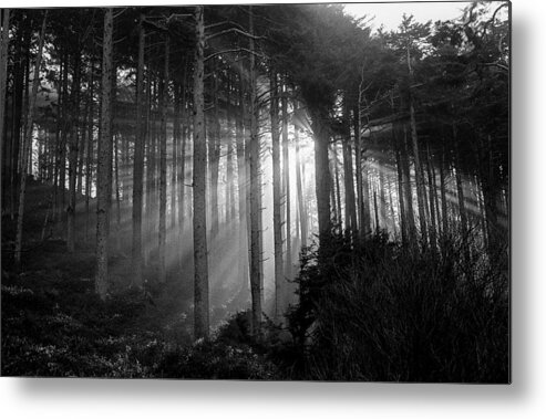 Film Metal Print featuring the photograph Glory of Morning by HW Kateley