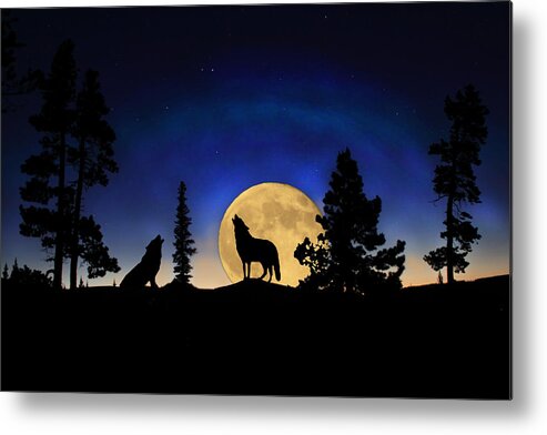 Carnivore Metal Print featuring the photograph Glowing Horizon by Shane Bechler