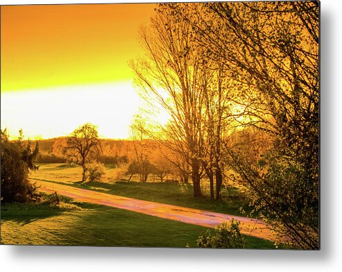 Landscape Metal Print featuring the photograph Glowing Sunset by Lester Plank