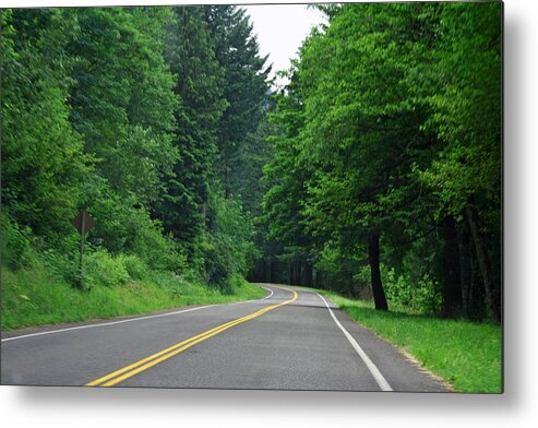 Road Metal Print featuring the photograph Go where it takes us by Ben Zell