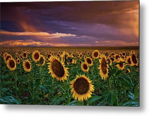 Colorado Metal Print featuring the digital art God's Painted Sky by John De Bord