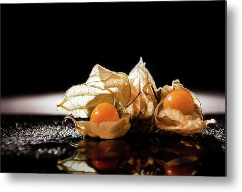 Physalis Metal Print featuring the photograph Goldberries by Christine Sponchia