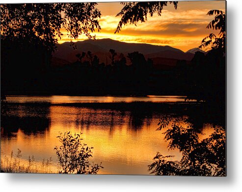 Gold Metal Print featuring the photograph Golden Day at the Lake by James BO Insogna