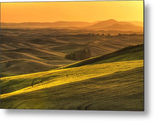 Palouse Metal Print featuring the photograph Golden Grains by Mark Kiver