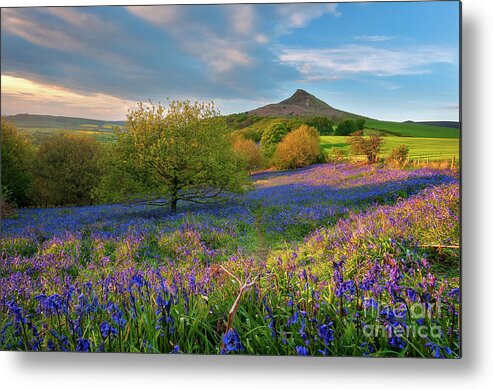 Mtphotography Metal Print featuring the photograph Golden hour at Roseberry Topping by Mariusz Talarek