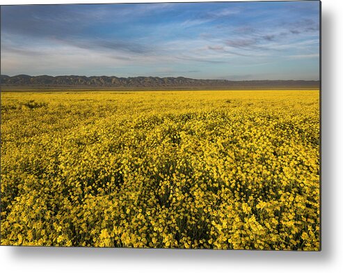 Landscape Metal Print featuring the photograph Golden Hour on the Plain by Scott Cunningham