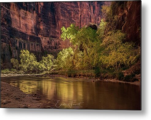 Zion Metal Print featuring the photograph Golden Reflections by Erika Fawcett