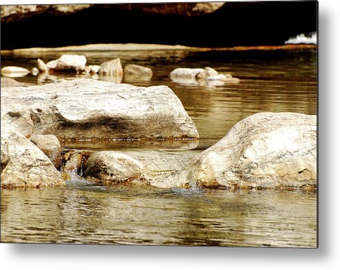 Landscape Metal Print featuring the photograph Golden Stream by Nancy Landry