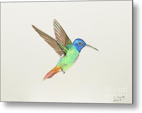 Golden Tailed Sapphire Metal Print featuring the painting Golden-tailed sapphire by Stefanie Forck