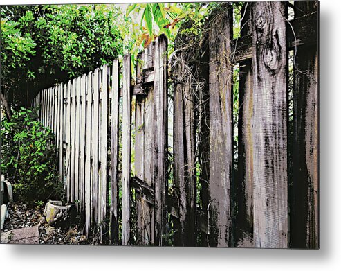 Fence Metal Print featuring the photograph Good fences, good neighbors by Nora Martinez